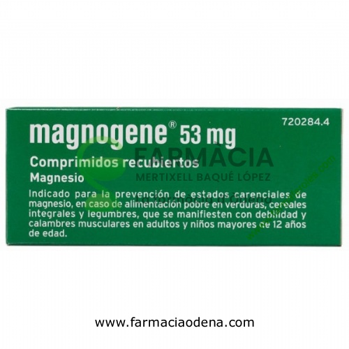 MAGNOGENE 53 mg COMPRIMIDOS RECUBIERTOS, 45 comprimidos