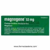 MAGNOGENE 53 mg COMPRIMIDOS RECUBIERTOS, 45 comprimidos